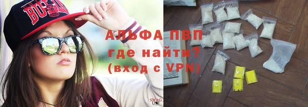 прущие грибы Гусев