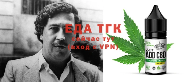 прущие грибы Гусев