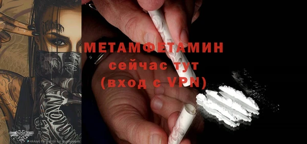 прущие грибы Гусев
