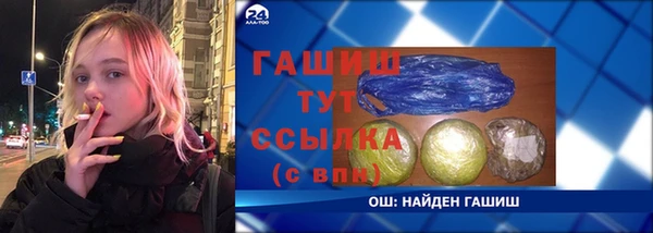 прущие грибы Гусев