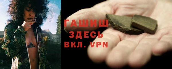 прущие грибы Гусев