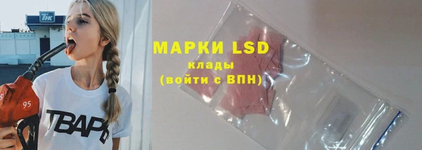 прущие грибы Гусев