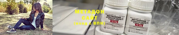 прущие грибы Гусев