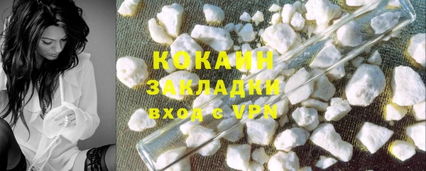 прущие грибы Гусев