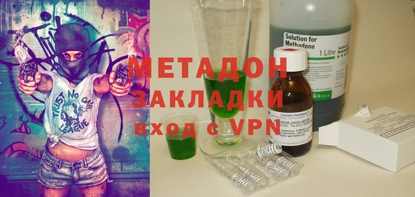 прущие грибы Гусев