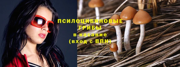 альфа пвп Гусь-Хрустальный