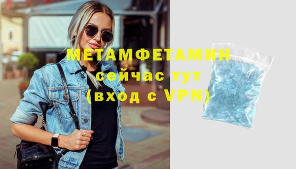 прущие грибы Гусев