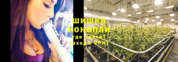 прущие грибы Гусев