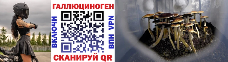 Купить закладки  Острогожск  Галлюциногенные грибы мицелий 